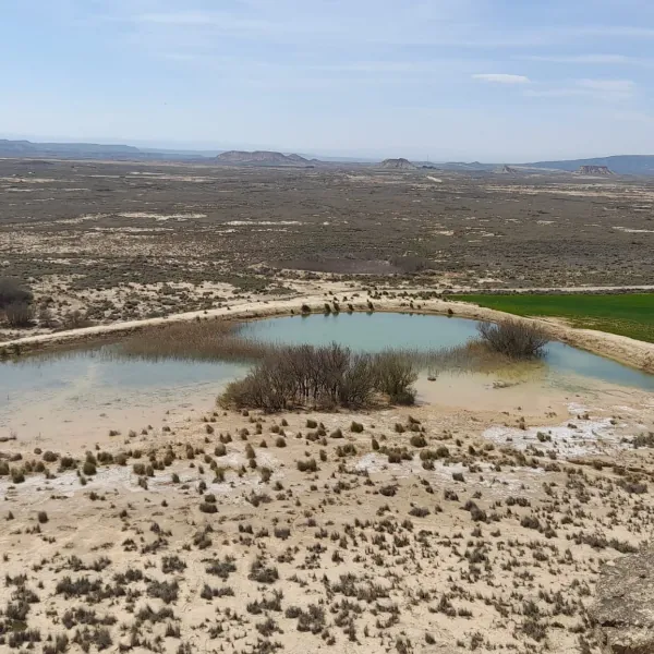 paisaje bardenas