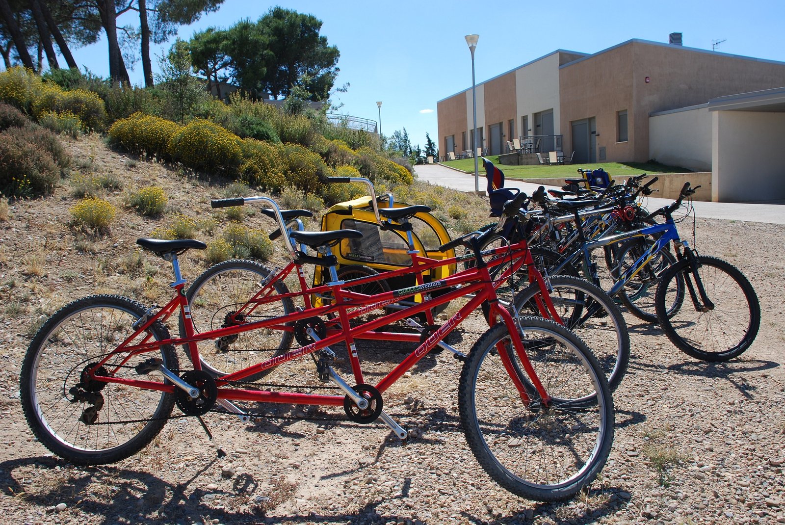 Bicicleta