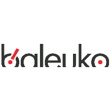 logo-baleuko