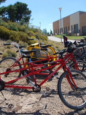 Bicicleta
